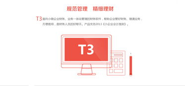 用友t3财务通信友科技 连云港用友软件 连云港软件公司 连云港软件开发公司 连云港网络公司