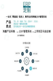 亚马逊无货源erp系统店群erp跨境erp erp贴牌定制